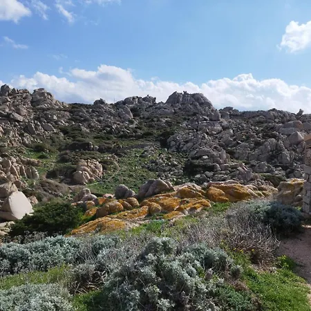 3 Pieces, 50 M2 Et Terrasse Vue Degagee Apartment Santa Teresa Gallura